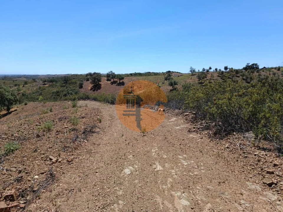 Terreno para Venda em Azinhal Foto 31