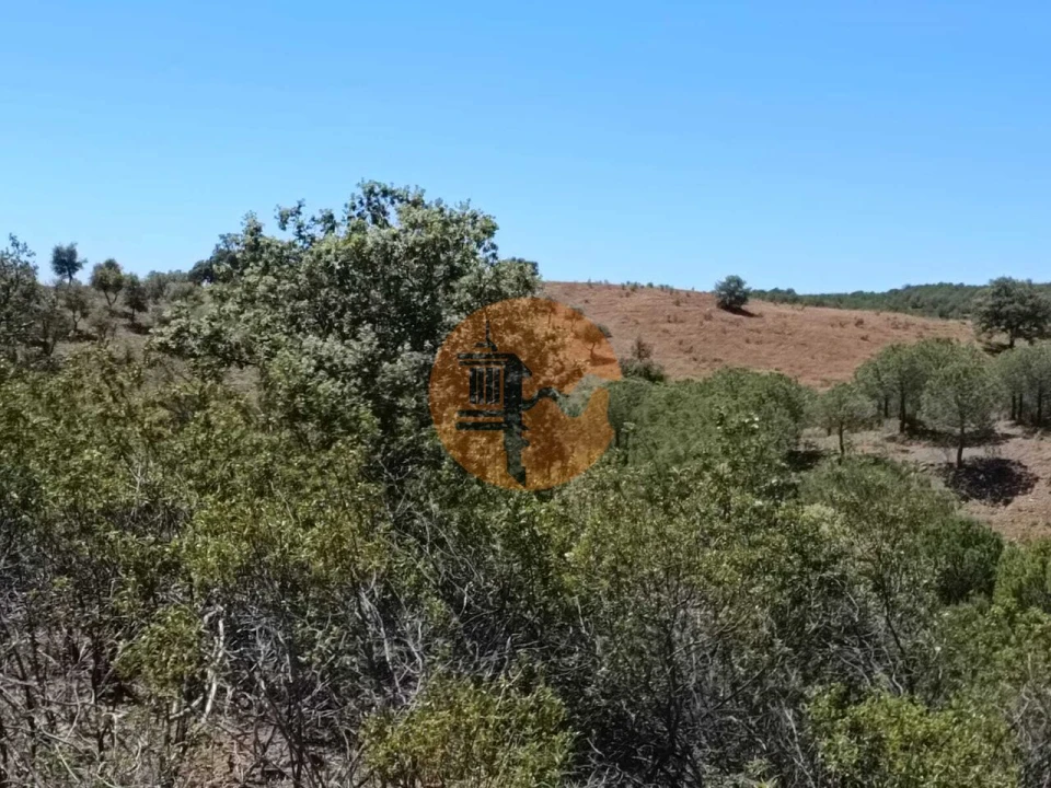Terreno para Venda em Azinhal Foto 33