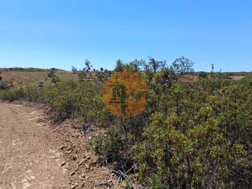 Terreno para Venda em Azinhal