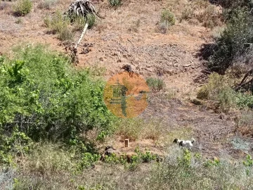 Terreno para Venda em Azinhal