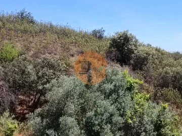 Terreno para Venda em Azinhal