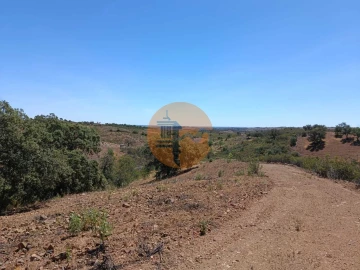 Terreno para Venda em Azinhal