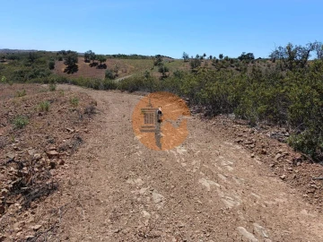 Terreno para Venda em Azinhal