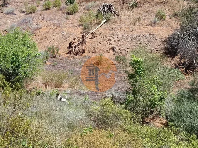 Terreno para Venda em Azinhal Foto 24