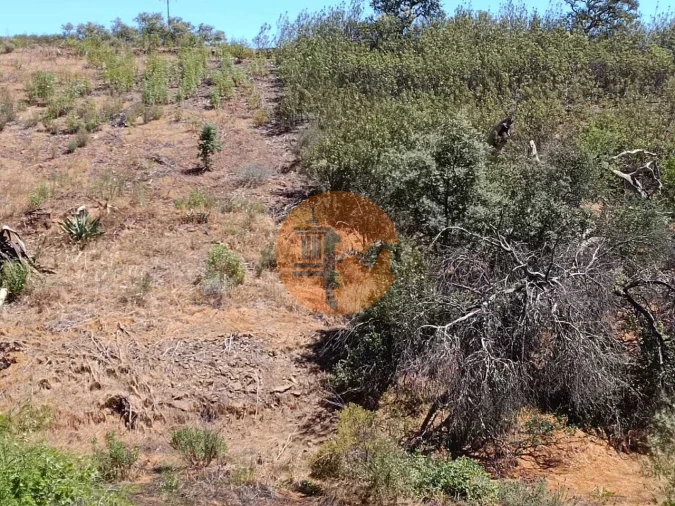 Terreno para Venda em Azinhal Foto 13