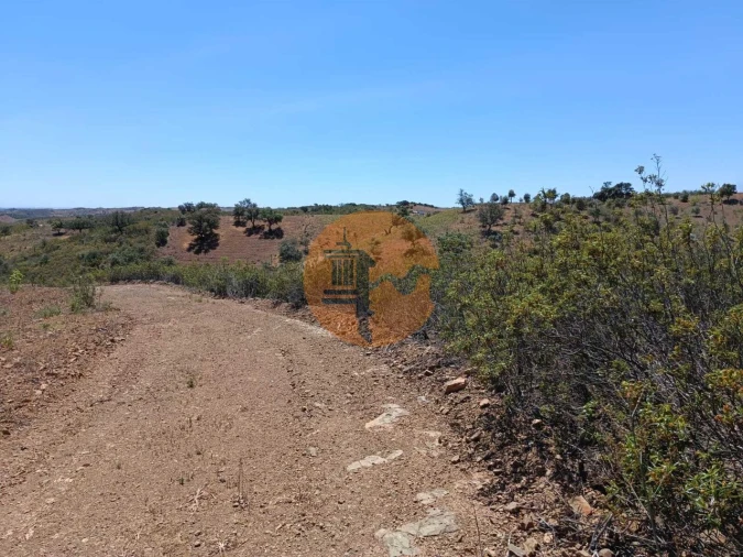 Terreno para Venda em Azinhal Foto 21