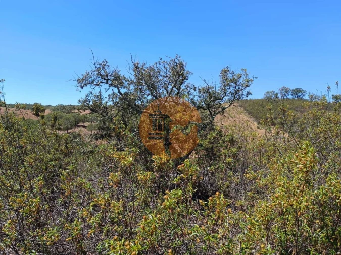 Terreno para Venda em Azinhal Foto 22