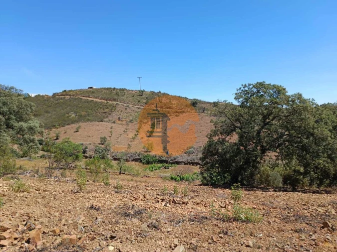 Terreno para Venda em Azinhal Foto 30