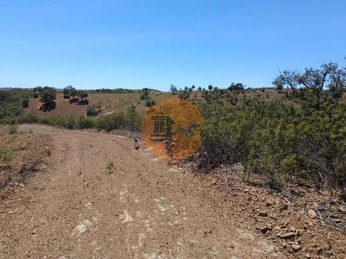 Terreno para Venda em Azinhal Foto 34