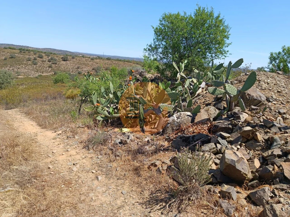 Terreno para Venda em Odeleite Foto 7