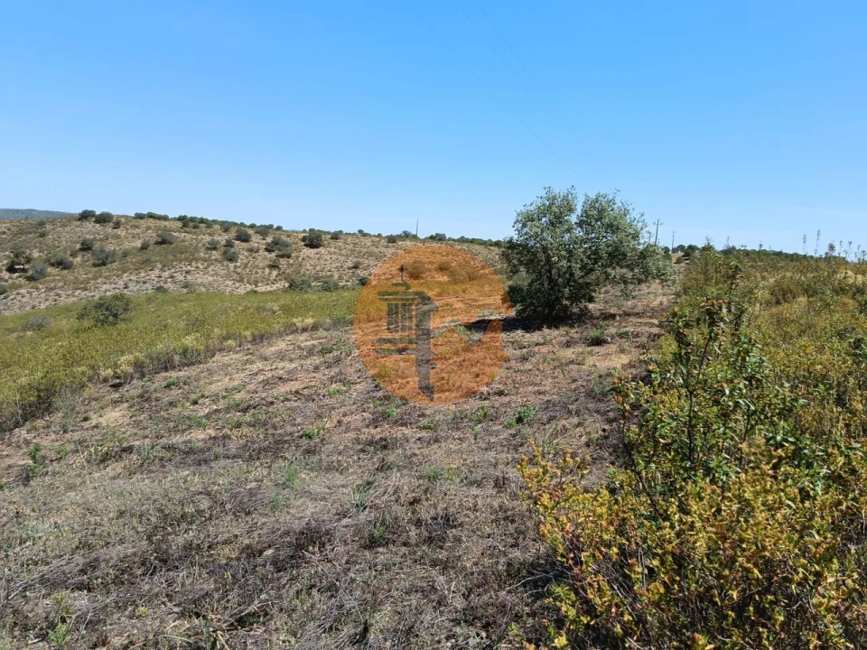 Terreno para Venda em Odeleite Foto 8