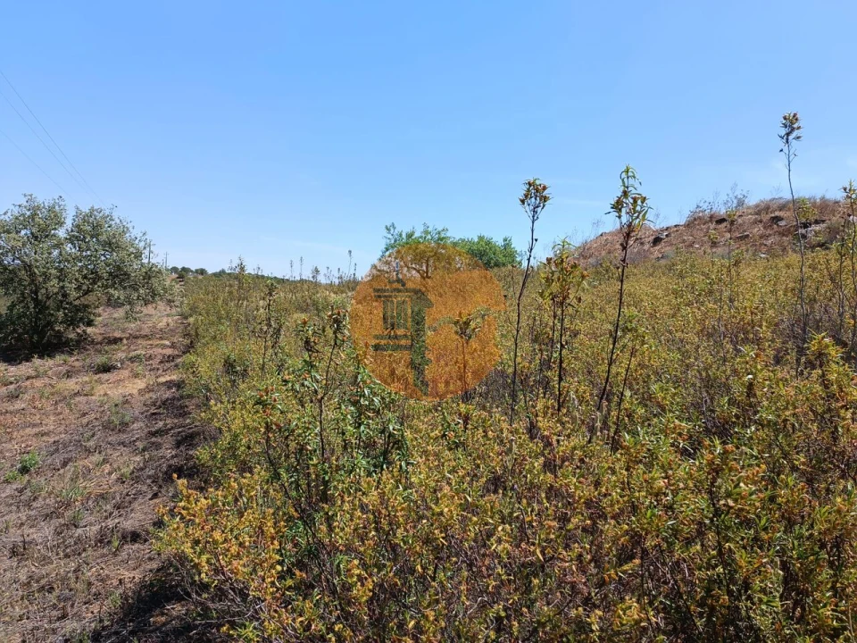 Terreno para Venda em Odeleite Foto 12