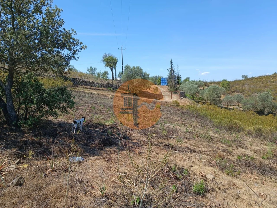 Terreno para Venda em Odeleite Foto 21