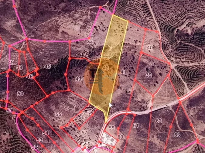 Terreno para Venda em Odeleite Foto 14