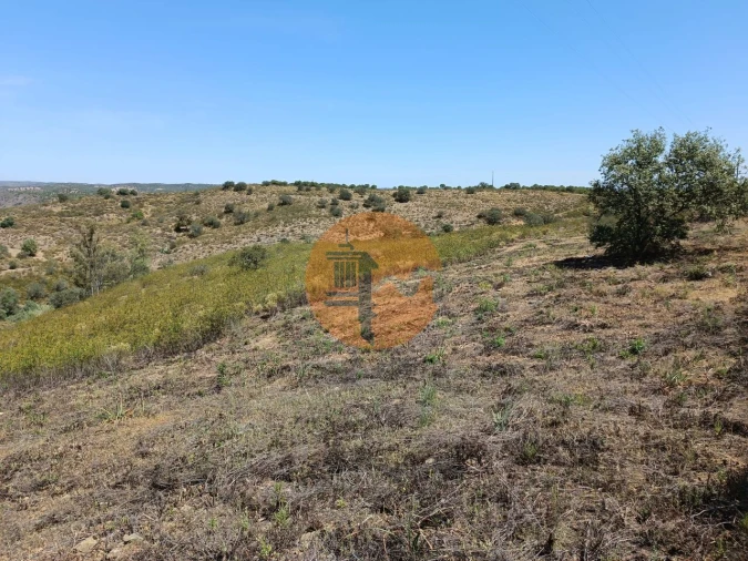 Terreno para Venda em Odeleite Foto 11