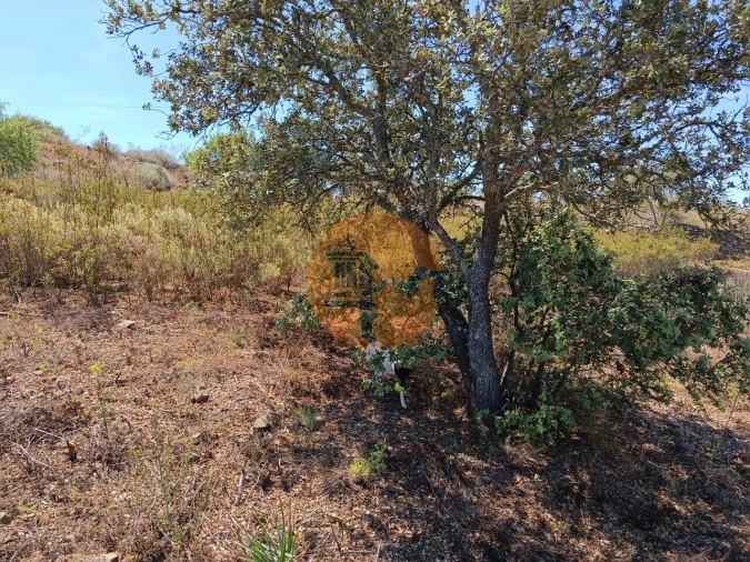 Terreno para Venda em Odeleite Foto 13