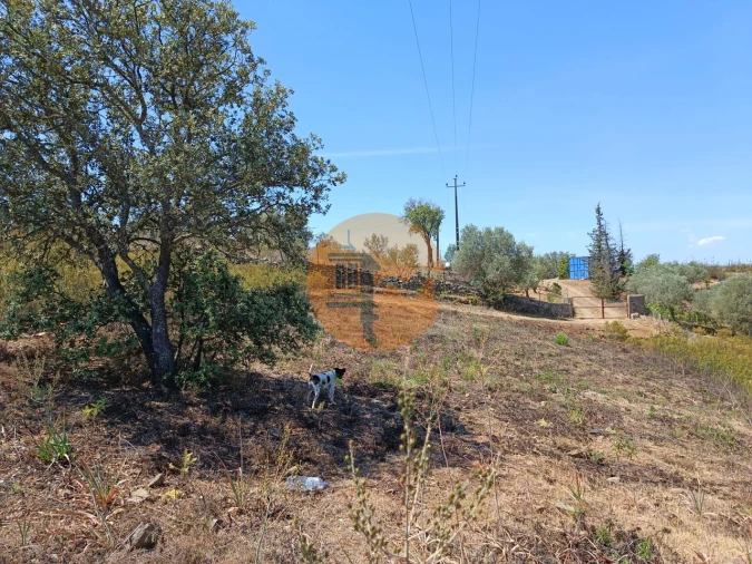 Terreno para Venda em Odeleite Foto 4