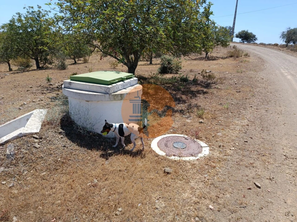 Terreno para Venda em Odeleite Foto 9