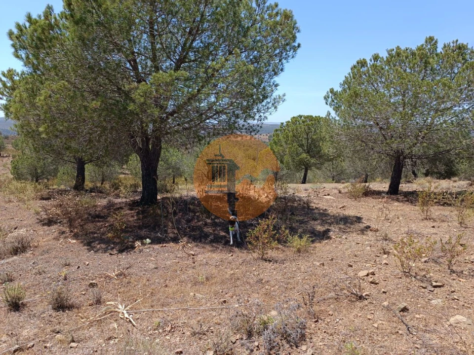 Terreno para Venda em Odeleite Foto 10
