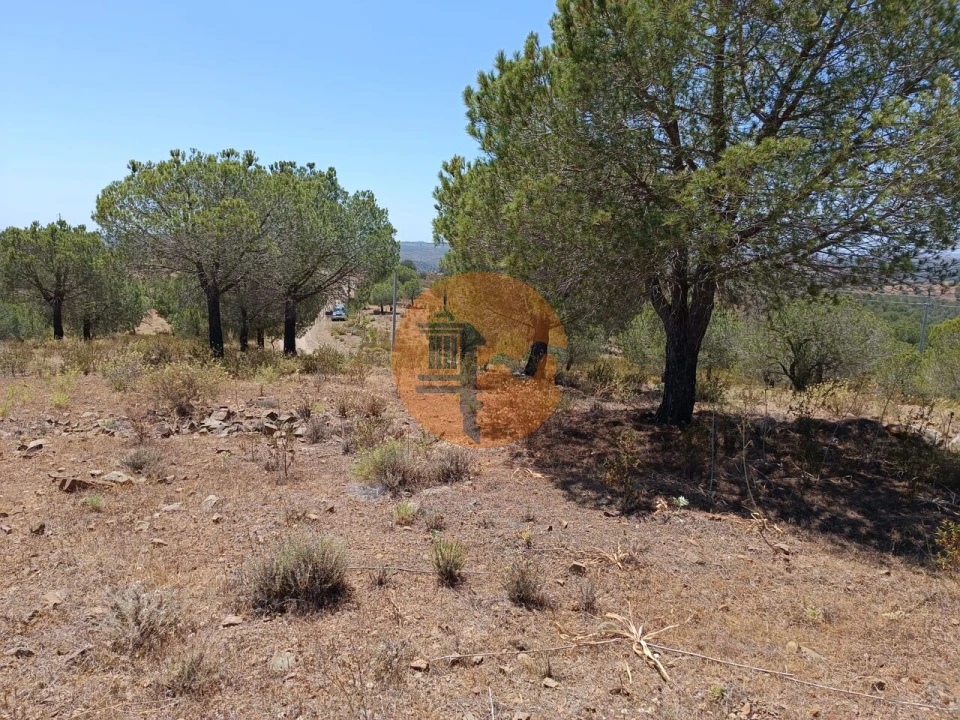 Terreno para Venda em Odeleite Foto 11