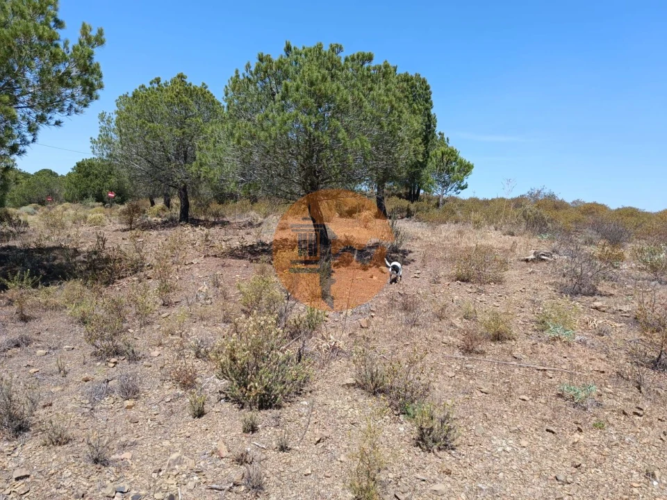 Terreno para Venda em Odeleite Foto 13