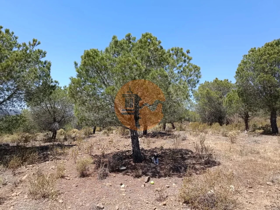 Terreno para Venda em Odeleite Foto 14