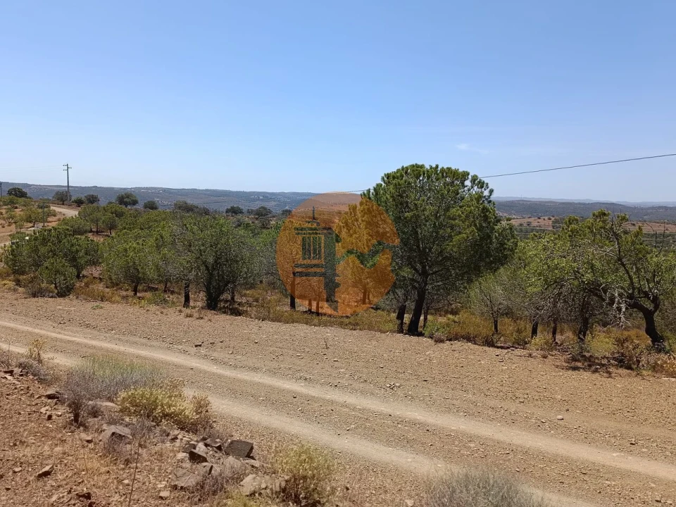 Terreno para Venda em Odeleite Foto 17