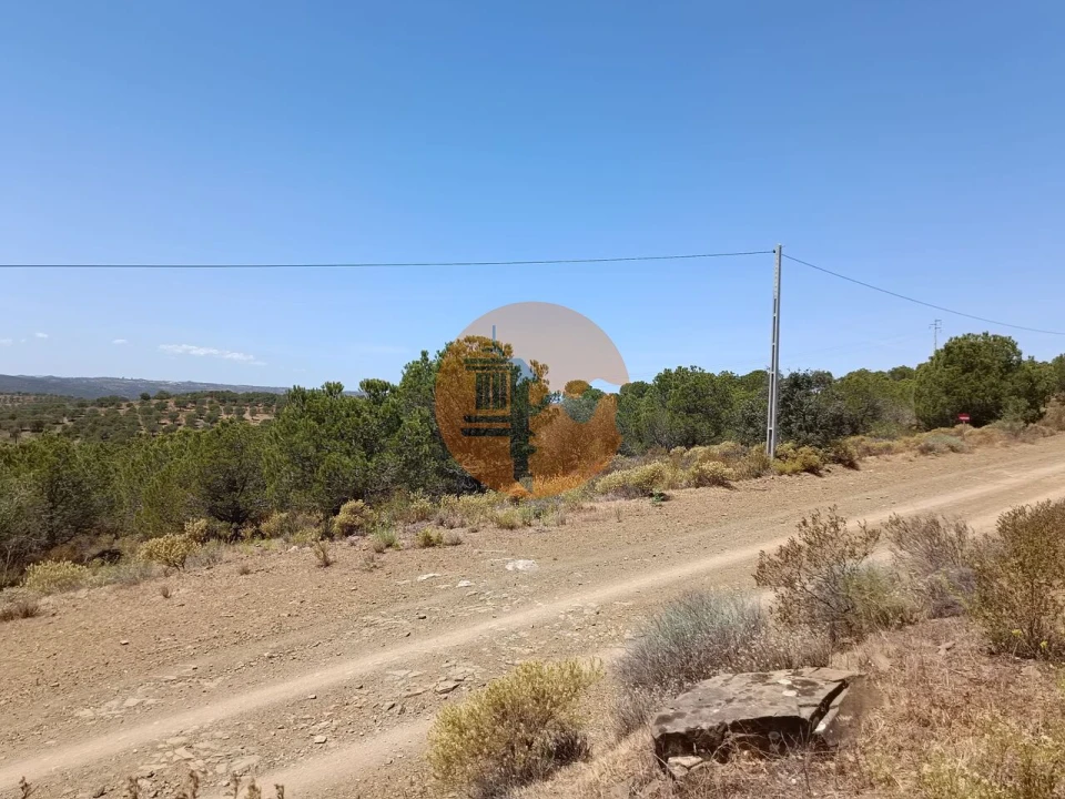 Terreno para Venda em Odeleite Foto 18