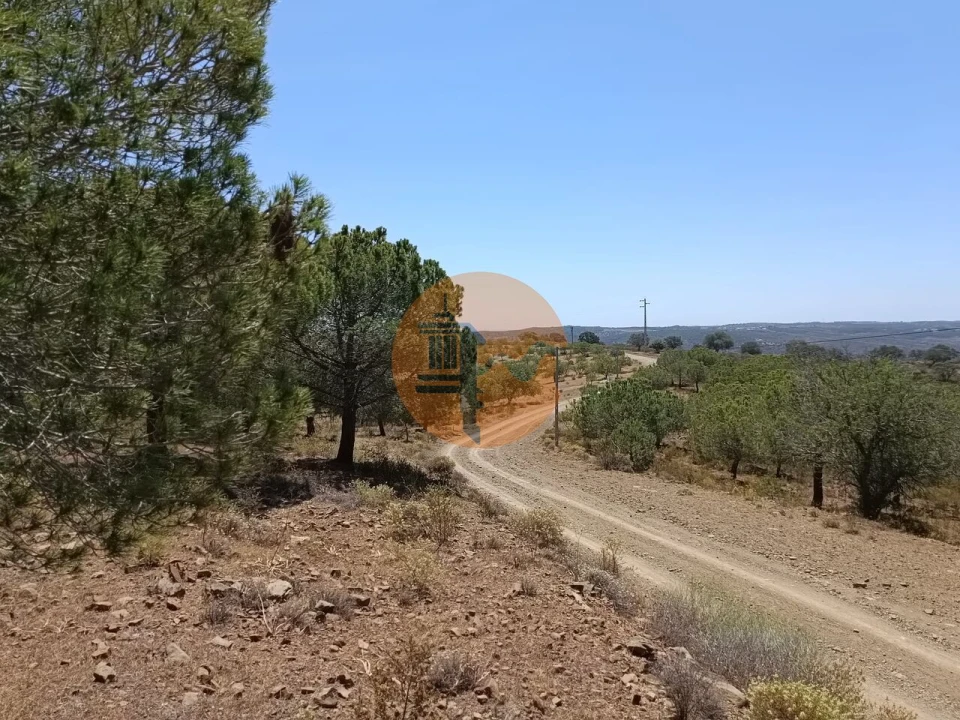 Terreno para Venda em Odeleite Foto 20