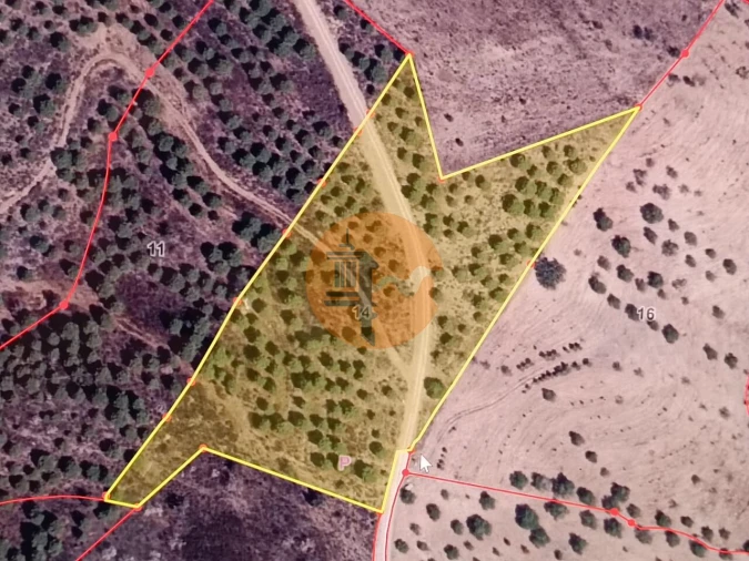 Terreno para Venda em Odeleite Foto 2