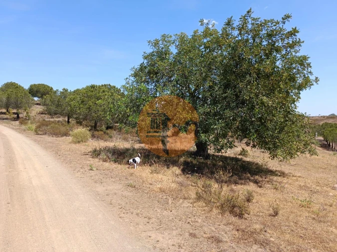Terreno para Venda em Odeleite Foto 8