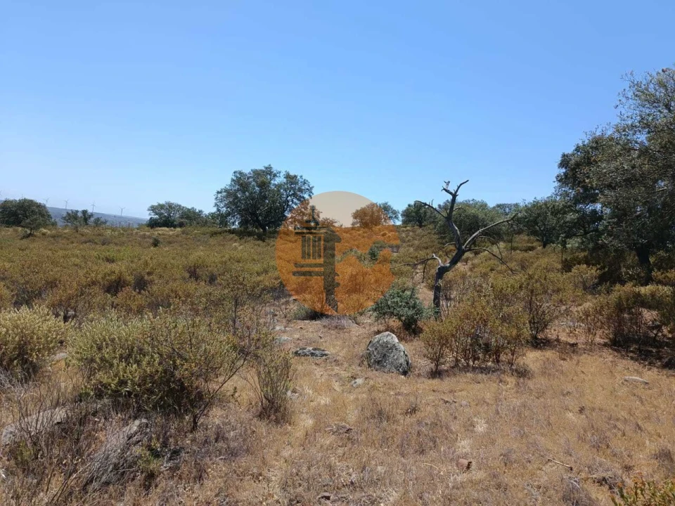 Terreno para Venda em Odeleite Foto 13