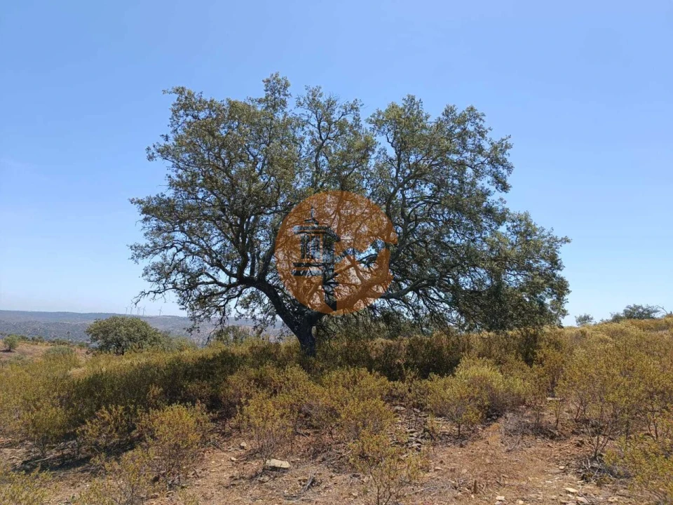 Terreno para Venda em Odeleite Foto 15