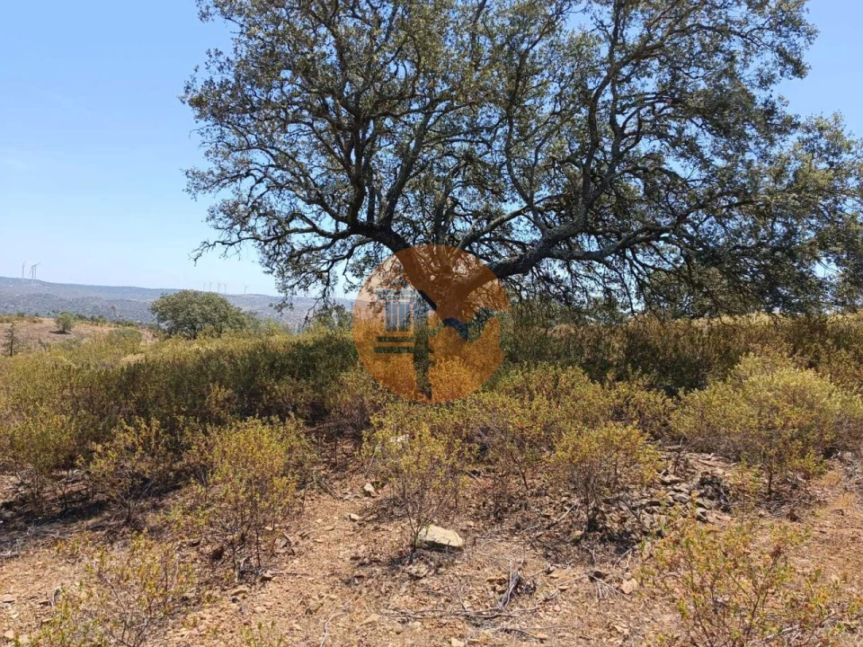 Terreno para Venda em Odeleite Foto 19