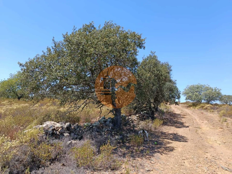 Terreno para Venda em Odeleite Foto 24