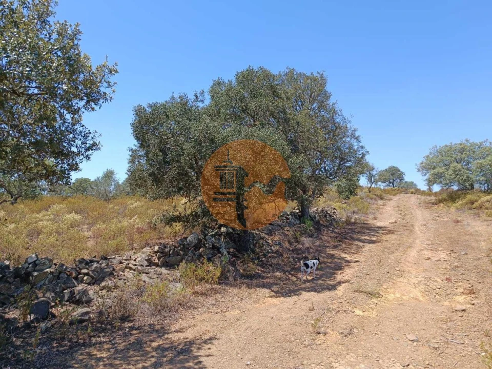 Terreno para Venda em Odeleite Foto 26