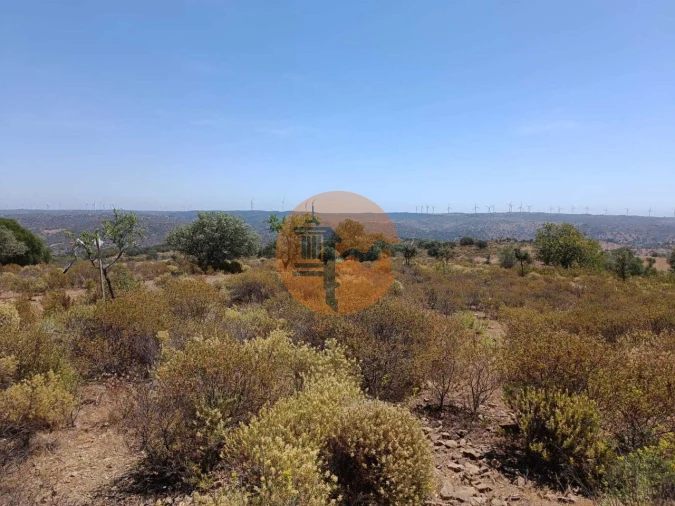 Terreno para Venda em Odeleite Foto 8