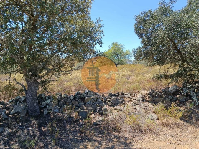 Terreno para Venda em Odeleite Foto 27