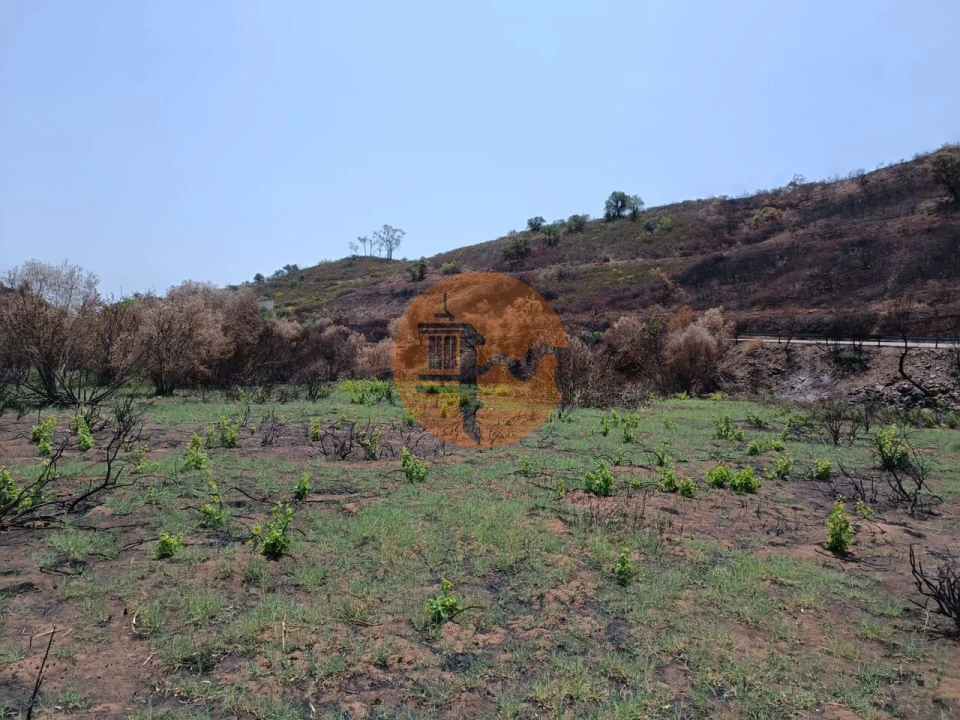 Terreno para Venda em Azinhal Foto 8