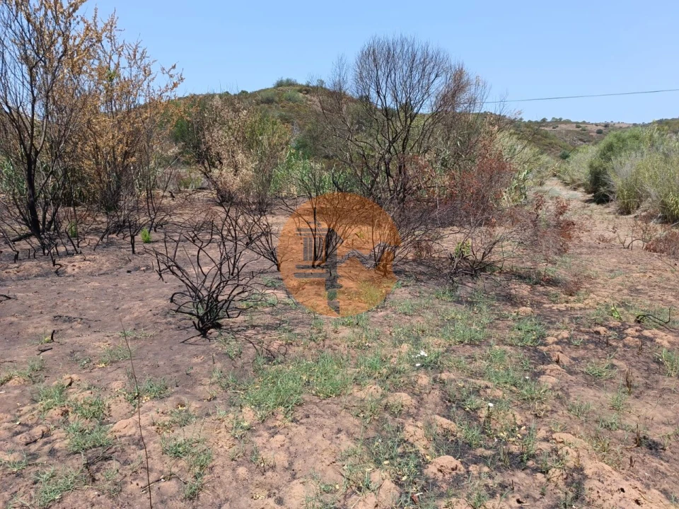 Terreno para Venda em Azinhal Foto 12