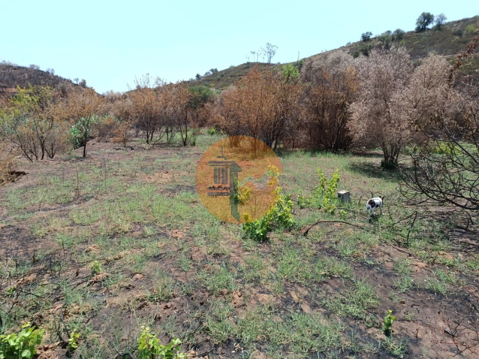 Terreno para Venda em Azinhal Foto 19