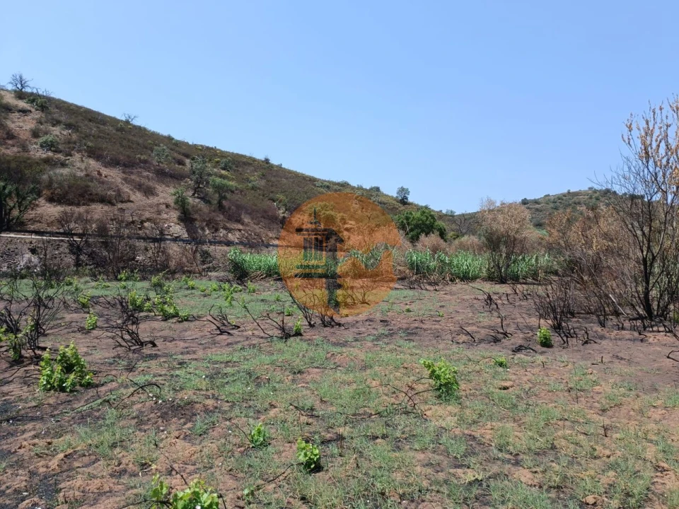 Terreno para Venda em Azinhal Foto 20