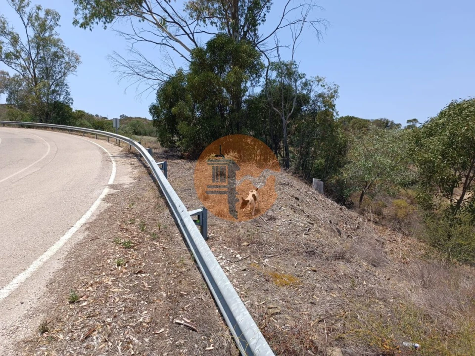 Terreno para Venda em Azinhal Foto 24
