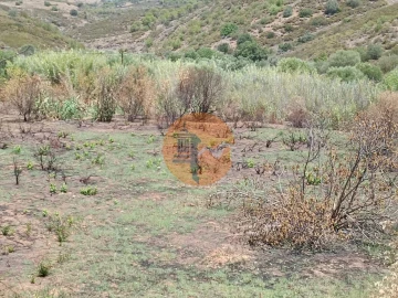 Terreno para Venda em Azinhal