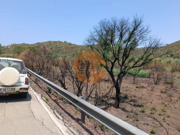 Terreno para Venda em Azinhal