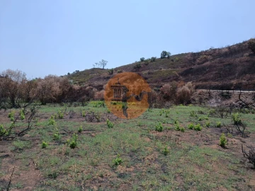 Terreno para Venda em Azinhal