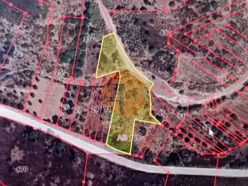 Terreno para Venda em Azinhal