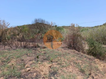 Terreno para Venda em Azinhal