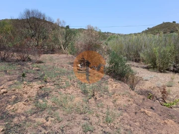 Terreno para Venda em Azinhal