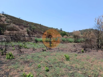 Terreno para Venda em Azinhal
